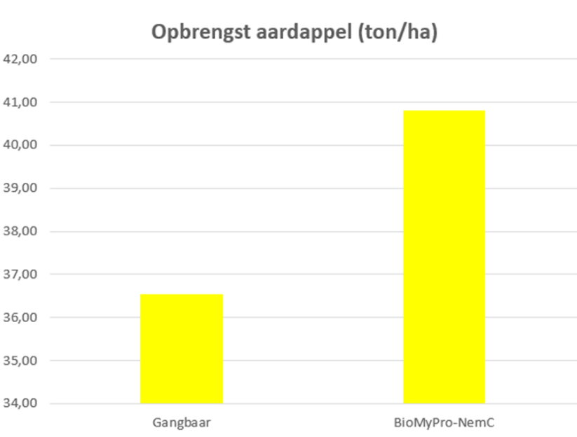 Fig. 1. Opbrengst verhoging van aardappelen na toediening van BioMyPro-NemC.